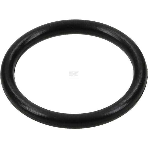 O-Ring - 590695 - Briggs & Stratton