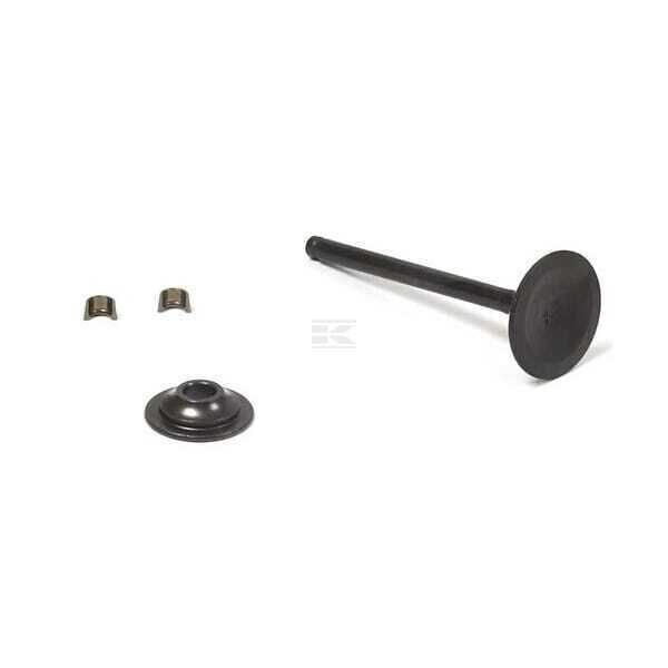 Auslassventil - 716519 - Briggs & Stratton