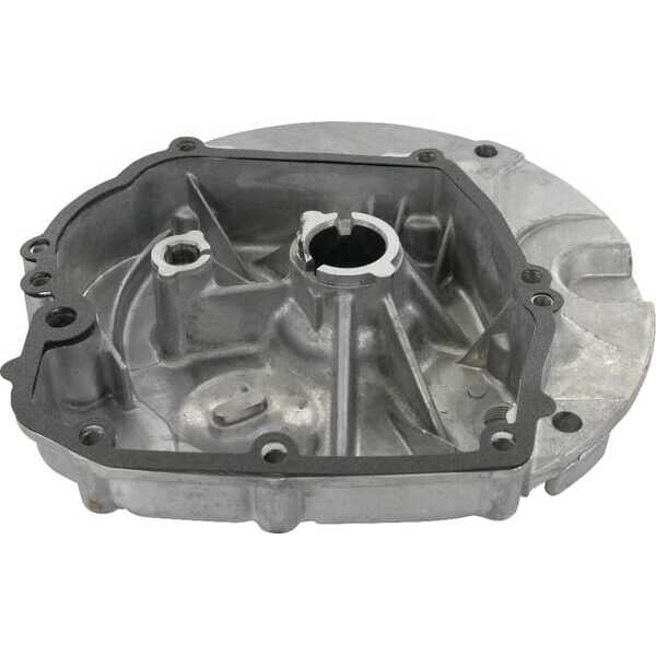 Sumpfmotor - 493279 - Briggs & Stratton