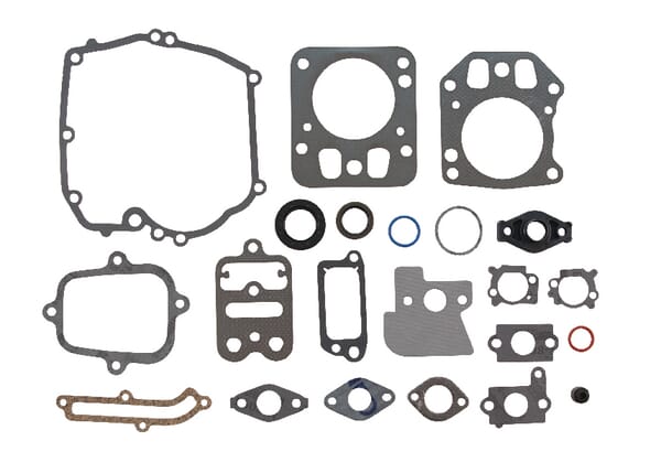 Briggs & Stratton Dichtungssatz - 795442 - Dichtungssatz