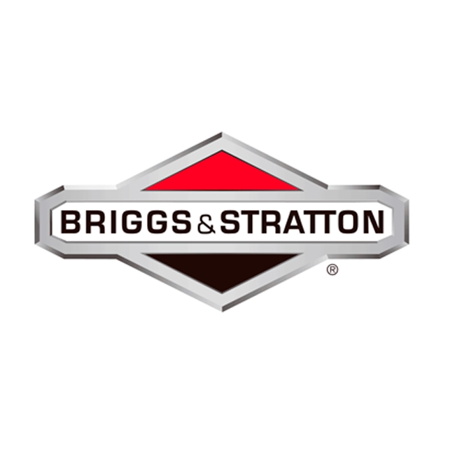 Vergaserschirm - 845543 - Briggs & Stratton